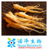 Natural Panax Ginseng Root Extract Powder