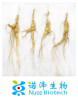 Top quality ginseng roots extract powder with best price
