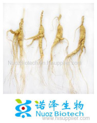 Top quality ginseng roots extract powder with best price