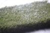 Outdoor Playground Synthetic Artificial Grass Plastic PP PE Stadium Turf