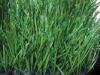 Outdoor Durable Sports Astro Turf Anti Abrasion Plastic Imitation Grass