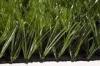 Eco Friendly 50mm Artificial Grass Garden Landscape Artificial Turf TenCate Thiolon
