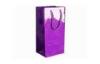 Pantone Print Gloss Finish Paper Wine Bags For Holiday , Christmas , Birthday