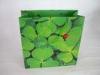 Multi Purpose Green Colorful Jewelry Paper Bags with Flexo / Hot Stamping Printing