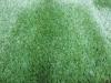 Artificial Landscaping Turf Fake Grass Lawns