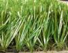 Poly Ethylene Sport Football Artificial Grass Lawn , Fake Turf Grass