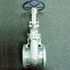 ANSI, BS, API Stainless Steel Industrial Gate Valve with 1/2 inch to 36 inches