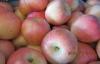 Large Red Organic Fuji Apple Fresh Contains Zinc , Red Delicious Apple large fruit, smooth fruit sur