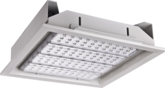 Manufacturer of 50000 hours life span MEANWELL Driver LED Embedded Light