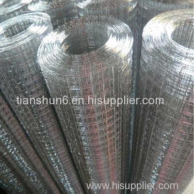 galvanized welded wire mesh