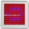 150w LED Plant Grow Light Red Blue spectrum for Vegetable Shed and botanic garde