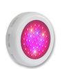 Horticulture Red Blue Spectrum LED Grow Light For Flower Exhibition , Bonsai , Garden