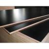 High glossy plywood board