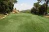 6300Dtex Field Green PE Golf Artificial Grass Lawns