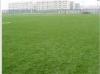 Bicolor Field Football Artificial Grass Soccer 50mm , Yarn Count 9800Dtex