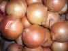 Professional Yellow Fresh Onion Large 90mm With ISO , HACCP , FDA 10kgs/ctn