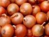 Chinese Natural Fresh Onion 30mm - 50mm With ISO , HACCP , FDA