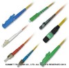 SC FC LC ST MU MTRJ SMA D4 E2000 Fiber Optic Pigtail Optical Fiber Pigtail