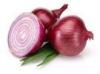 Healthy Natural Fresh Onion Green Products , No Irregular Shape