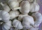 Organic Fresh Normal White Garlic Liliaceous Vegetable , 20kg / Mesh Bag