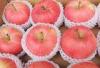 60mm - 65mm Fresh Fruit Fuji Red Apple , Health No Pesticide Residue