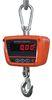 Portable Hand Wireless Digital Crane Scales Hanging Weighing Scale for Industrial IP65