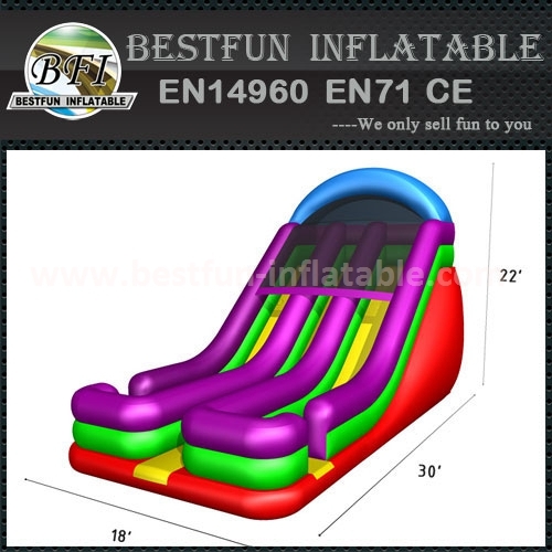 Hot sale blue inflatable tropical dual lane slide