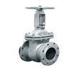 GOST 5762 Cast Steel Resilient Seated Gate Valve for Water Gas Oil GOST 3706 - 93