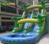 PVC Tarpaulin Double Outdoor Inflatable Water Slide For Children And Adults