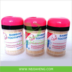 High Quality Bamboo Toothpick in Plastic Toothpick Holder