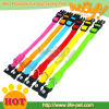 light up dog collar