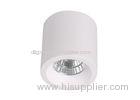 Aluminum White COB LED Downlights 18 W Surface Led Downlight for Supermarket