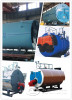 0.7MW gas fired boiler for sale