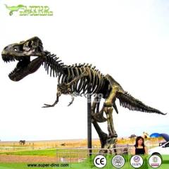 Life-size Replica Dinosaur Skeleton