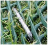 Heavy grass reinforcement mesh for heavy traffic &amp; vehicles