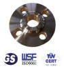 Duplex steel slip on flange