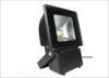 Bridgelux COB Outside Waterproof LED Flood Light Bulbs 100W Natural White / Cold White