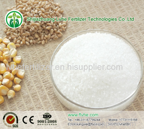 Ammonium Sluphate Caprolactam process