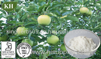 Apple Root Extract; Phloridzin 95%-98% By HPLC