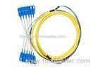 12 core , 24core Indoor Fiber Optic Patch Cord with SC connector