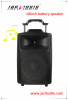 10inch plastic battery speaker with wireless microphone/MP3 player/outdoor speaker