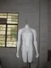 white with base male torso mannequins