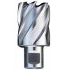 Hss drill bits (HSS annular cutter--for steel plate)