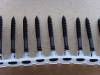 collated drywall screws small bugle head