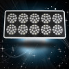 JYO 2014 grow light led red blue led lights apollo10 450w for plants in garden greenhouse