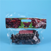 SGS Approved Zip Plastic Fruit Bag Stand up Pouches Packaging