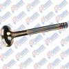 EXHAUST VALVE WITH 89BM 6505 CA