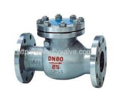 PN16~40 DIN swing Check Valve F1 & F6