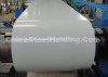 Prepainted steel sheet Prepainted steel sheet