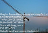 6 Tons 140m Self Climbing Building Tower Crane For Power Stations / Bridges